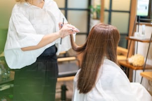 Hairdresser giving a woman a haircut