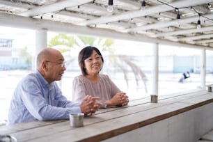 A senior couple sitting at a bar counter