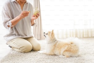 Aged woman having a dog