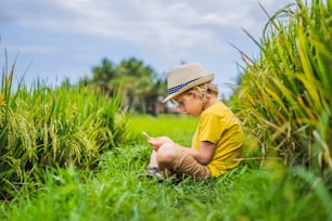 Junge, der auf dem grünen Gras sitzt, moderne Kinder, neue Technologien, die Abhängigkeit der Kinder vom Telefon.