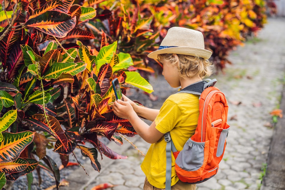 Un garçon identifie les plantes à l’aide de l’application sur un smartphone. réalité augmentée.