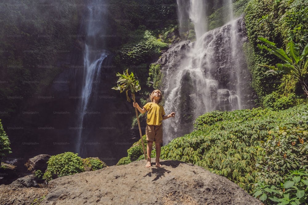 Der niedliche Junge zeigt den König des Dschungels vor der Kulisse eines Wasserfalls. Kindheit ohne Gadgets-Konzept. Konzept des Reisens mit Kindern. Outdoor-Konzept für die Kindheit.
