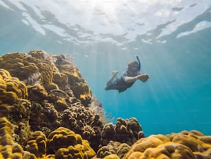 Homem feliz em snorkeling máscara mergulhar debaixo d'água com peixes tropicais na piscina do mar de recife de coral. Estilo de vida de viagem, aventura ao ar livre de esportes aquáticos, aulas de natação nas férias de praia de verão. Vista aérea do drone.