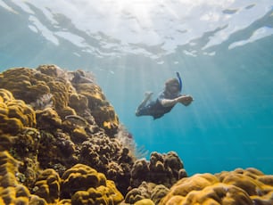 Happy man in snorkeling mask dive underwater with tropical fishes in coral reef sea pool. Travel lifestyle, water sport outdoor adventure, swimming lessons on summer beach holiday. Aerial view from the drone.