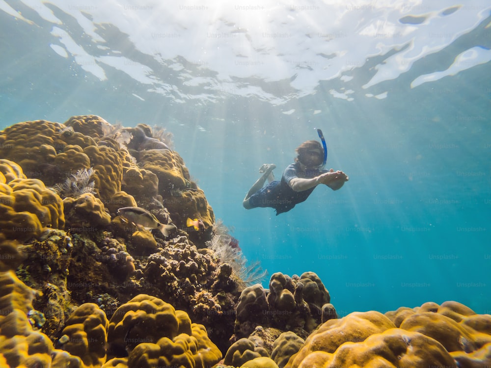 Hombre feliz en máscara de snorkel bucear bajo el agua con peces tropicales en la piscina marina de arrecifes de coral. Estilo de vida de viaje, aventura de deportes acuáticos al aire libre, clases de natación en vacaciones de verano en la playa. Vista aérea desde el dron.