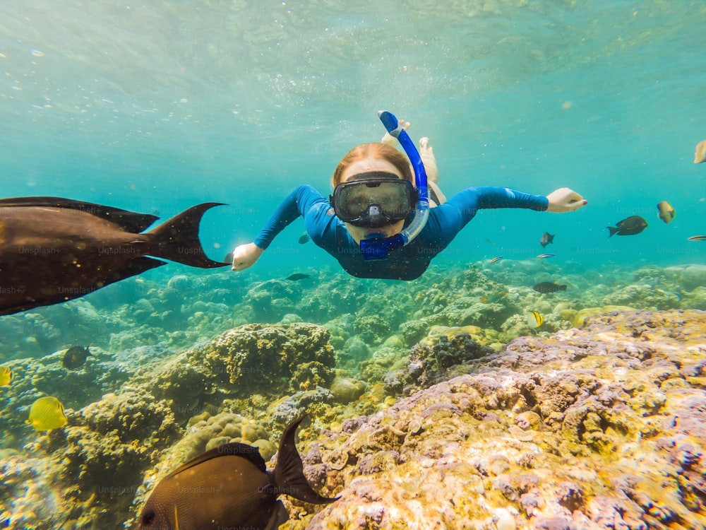 Donna felice in maschera da snorkeling immergersi sott'acqua con pesci tropicali nella piscina marina della barriera corallina. Stile di vita di viaggio, avventura all'aria aperta di sport acquatici, lezioni di nuoto in vacanza al mare estiva.