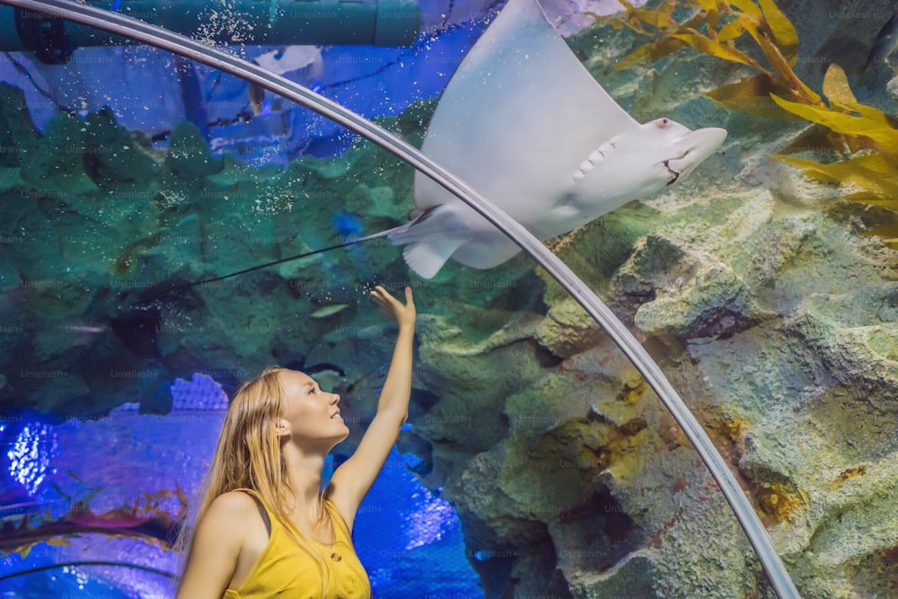Mulher jovem toca um peixe arraia em um túnel do oceanário.