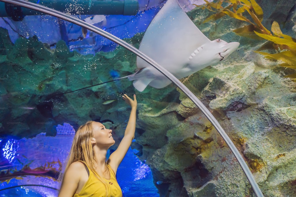 Young woman touches a stingray fish in an oceanarium tunnel.