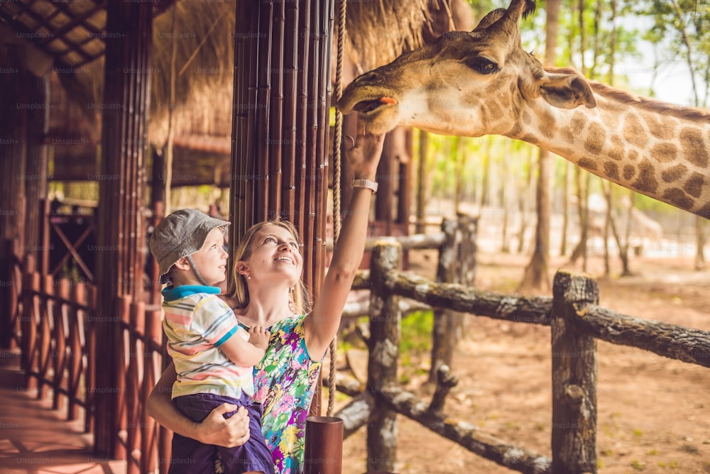 Happy mother and son watching and feeding giraffe in zoo. Happy family having fun with animals safari park on warm summer day.