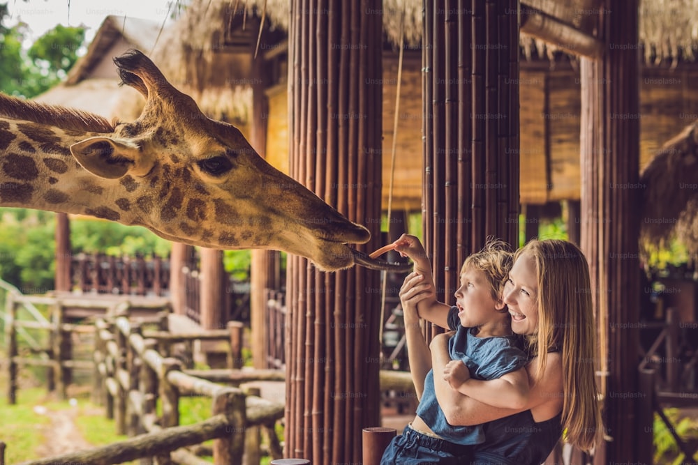 動物園でキリンを見て餌をやる幸せな母と息子。暖かい夏の日に動物サファリパークを楽しむ幸せな家族。