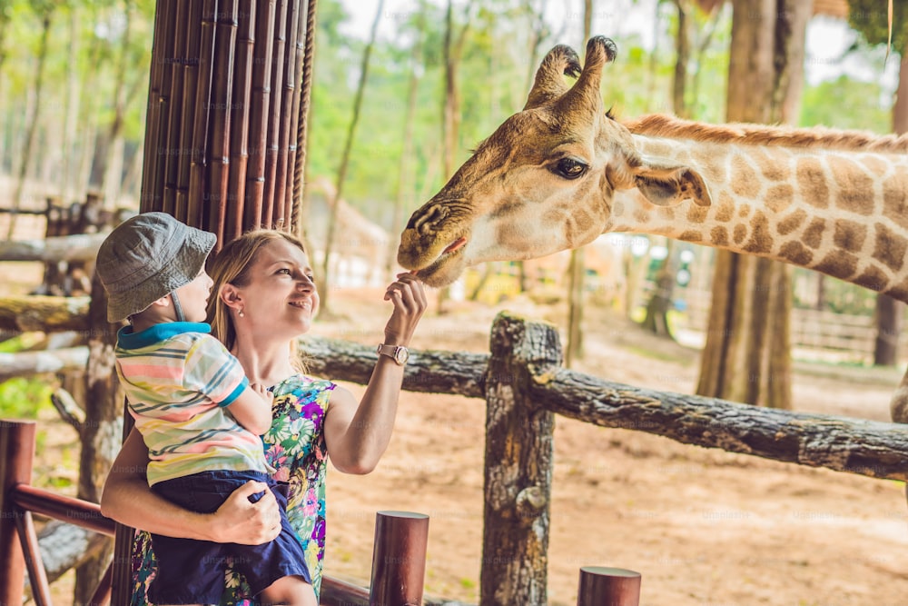 Happy mother and son watching and feeding giraffe in zoo. Happy family having fun with animals safari park on warm summer day.