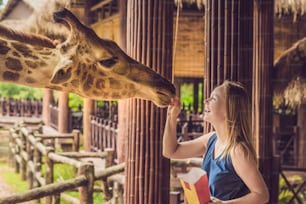 Mulher jovem feliz observando e alimentando girafa no zoológico. Mulher jovem feliz que se diverte com os animais do parque de safári no dia quente do verão.