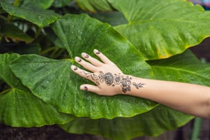 Bild der menschlichen Hand mit Henna-Tattoo verziert. Mehendi Hand.