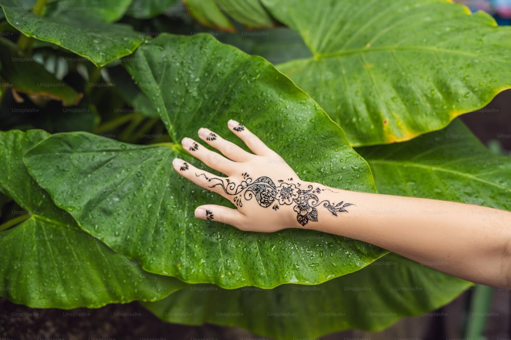 ヘナタトゥーで飾られた人間の手の写真。メヘンディの手。