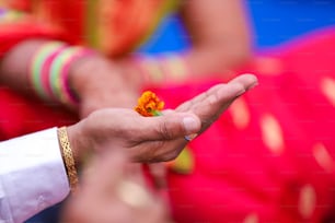 Ceremonia tradicional de boda india, novio de la mano de la novia