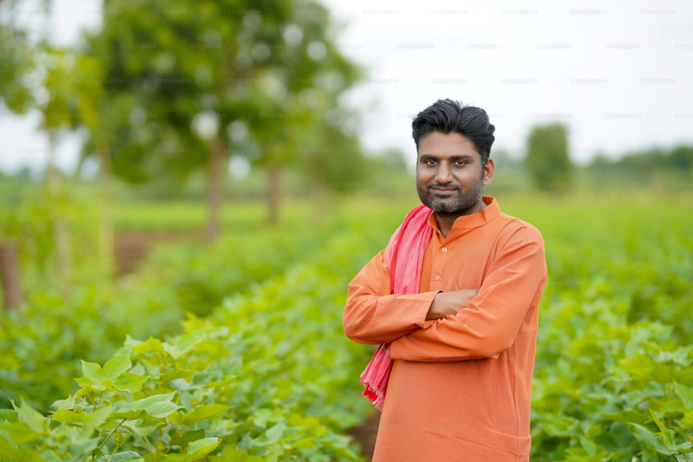 Young indian farmer standing in cotton agriculture field.