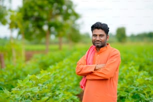 Young indian farmer standing in cotton agriculture field.