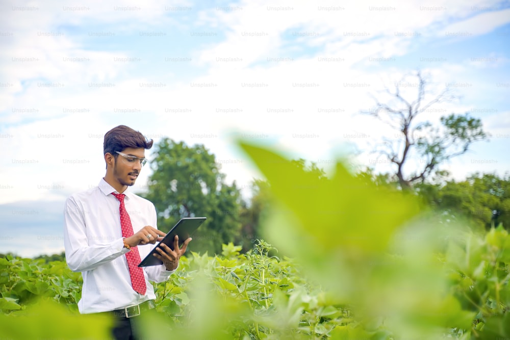 agronomist at Cotton field , showing some information on tab