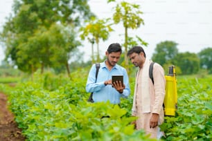 Joven agrónomo indio mostrando alguna información al agricultor en tableta en el campo agrícola.