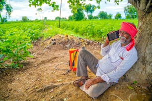 Indian farmer talking mobile phone at Agriculture field