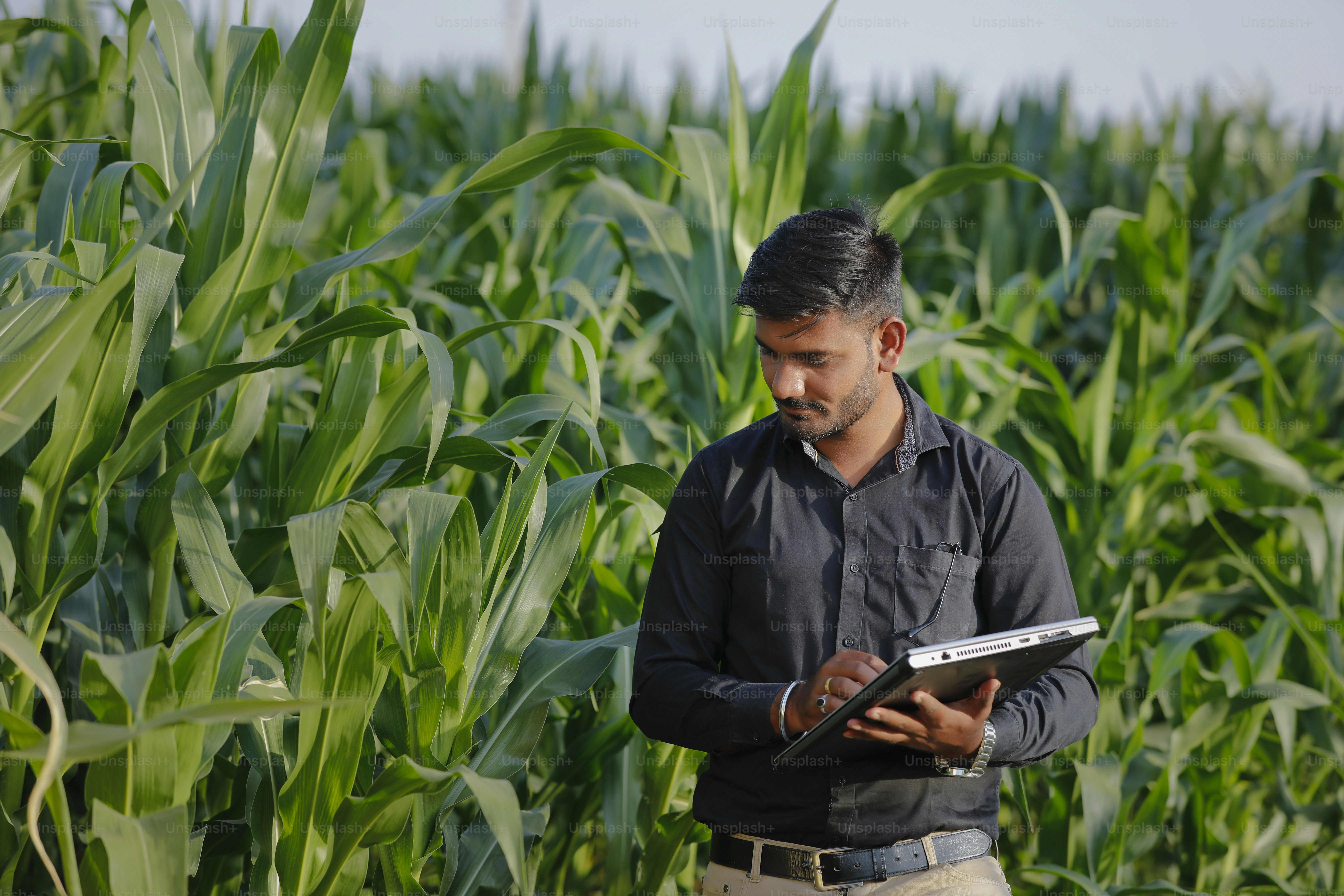 Agricultor revisando sistema de riego