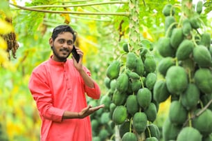 Giovane contadino indiano che parla al telefono cellulare al campo di papaya
