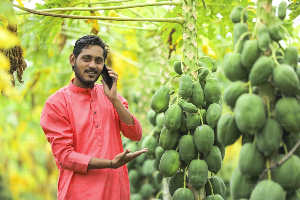 Giovane contadino indiano che parla al telefono cellulare al campo di papaya