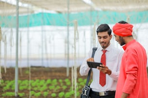 young agronomist showing some information to farmer in smartphone at greenhouse