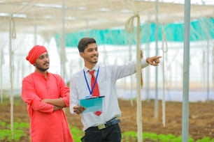 Joven agrónomo y agricultor indio discuten en invernadero o polyhouse