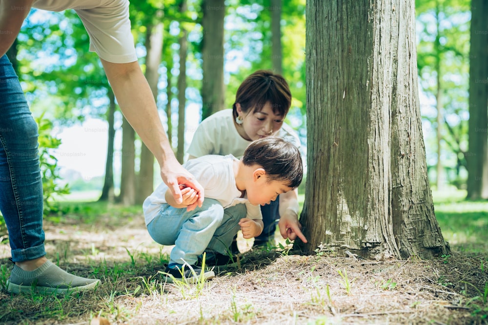 Boy and parents exploring the woods on fine day