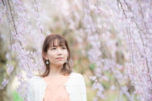 sakura japonesa