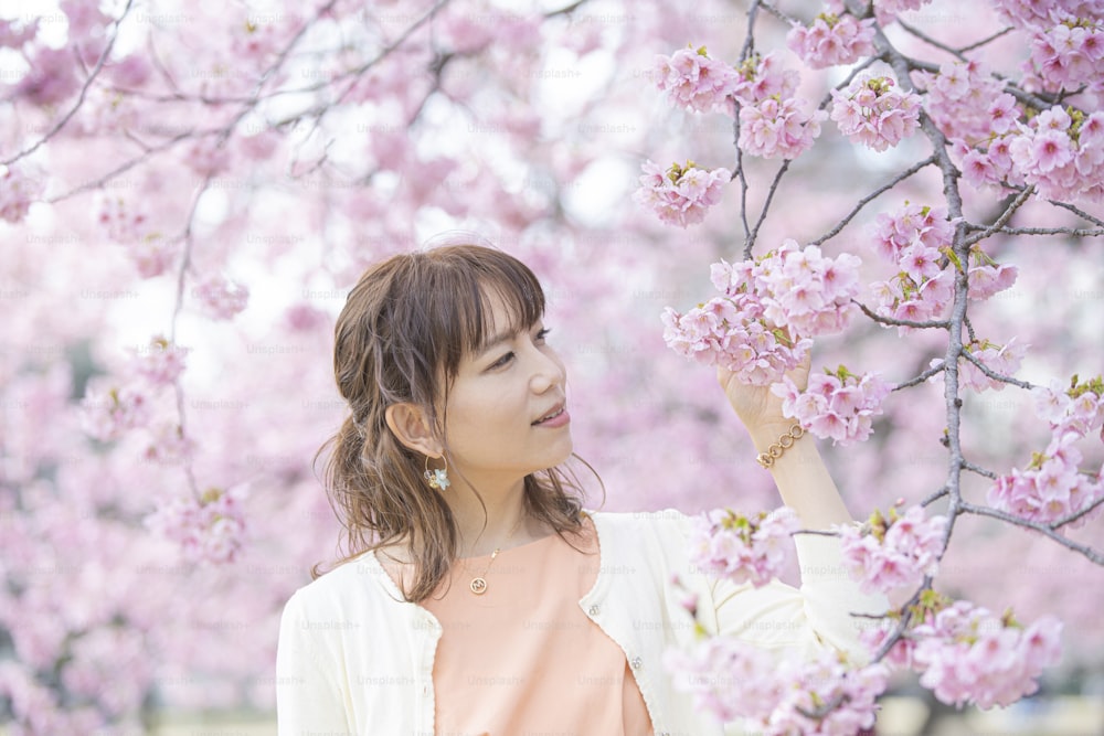 Sakura japonais