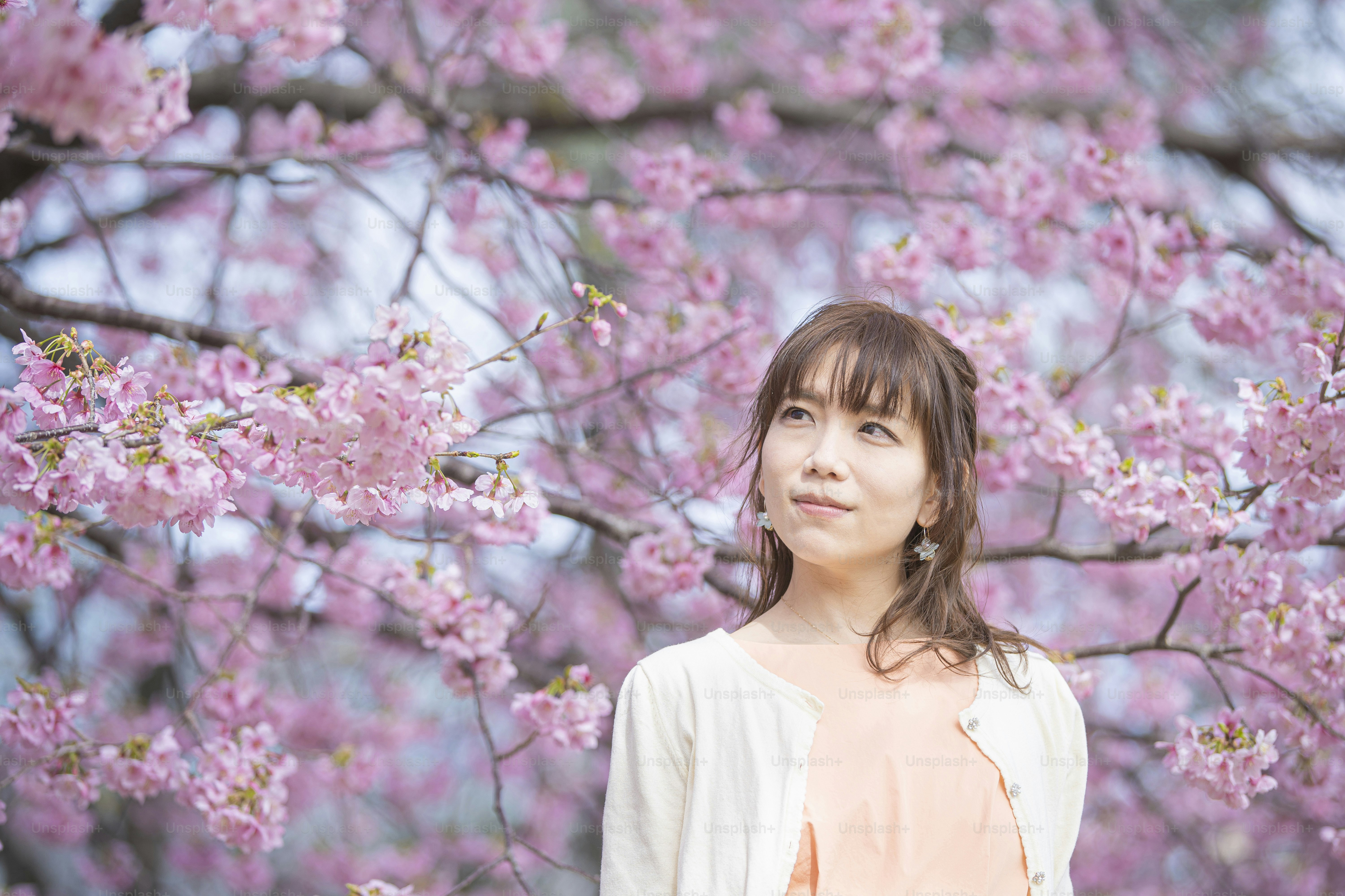 Cover Image of the Post