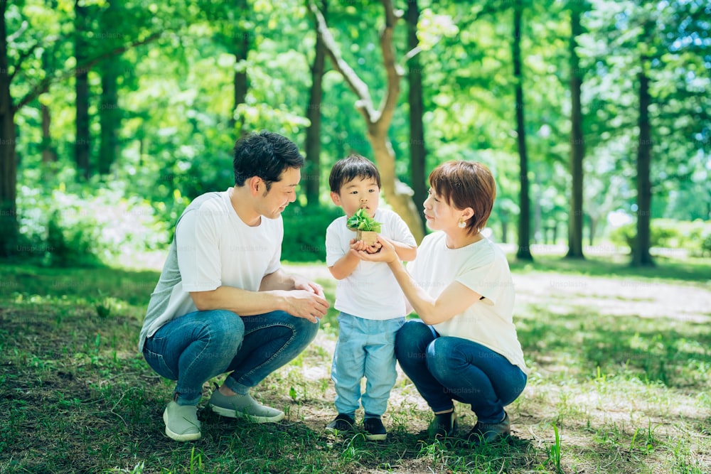 A family with a small potted plant in the woods on fine day