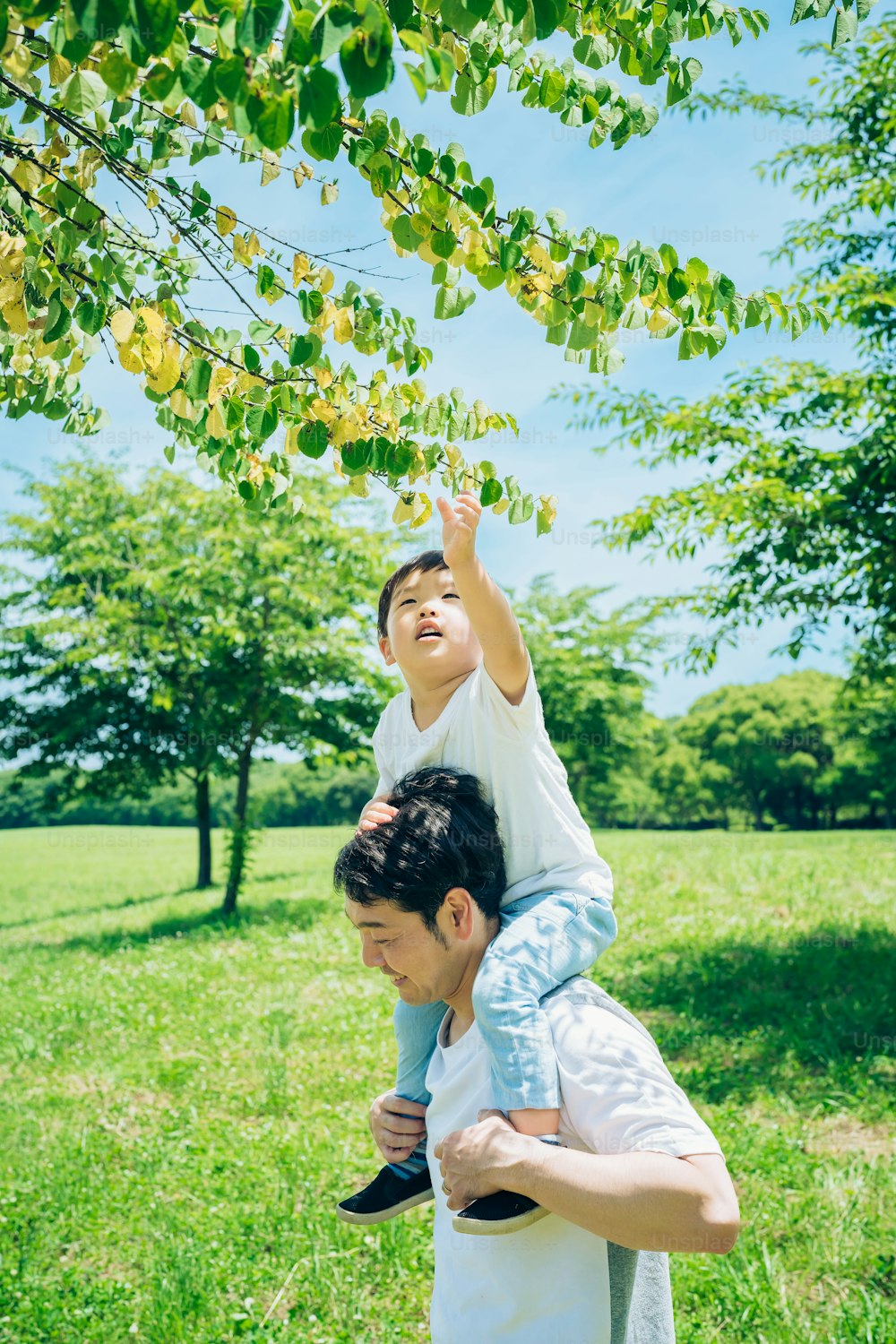 a father and a little boy walking on the green space with piggybacks on fine day