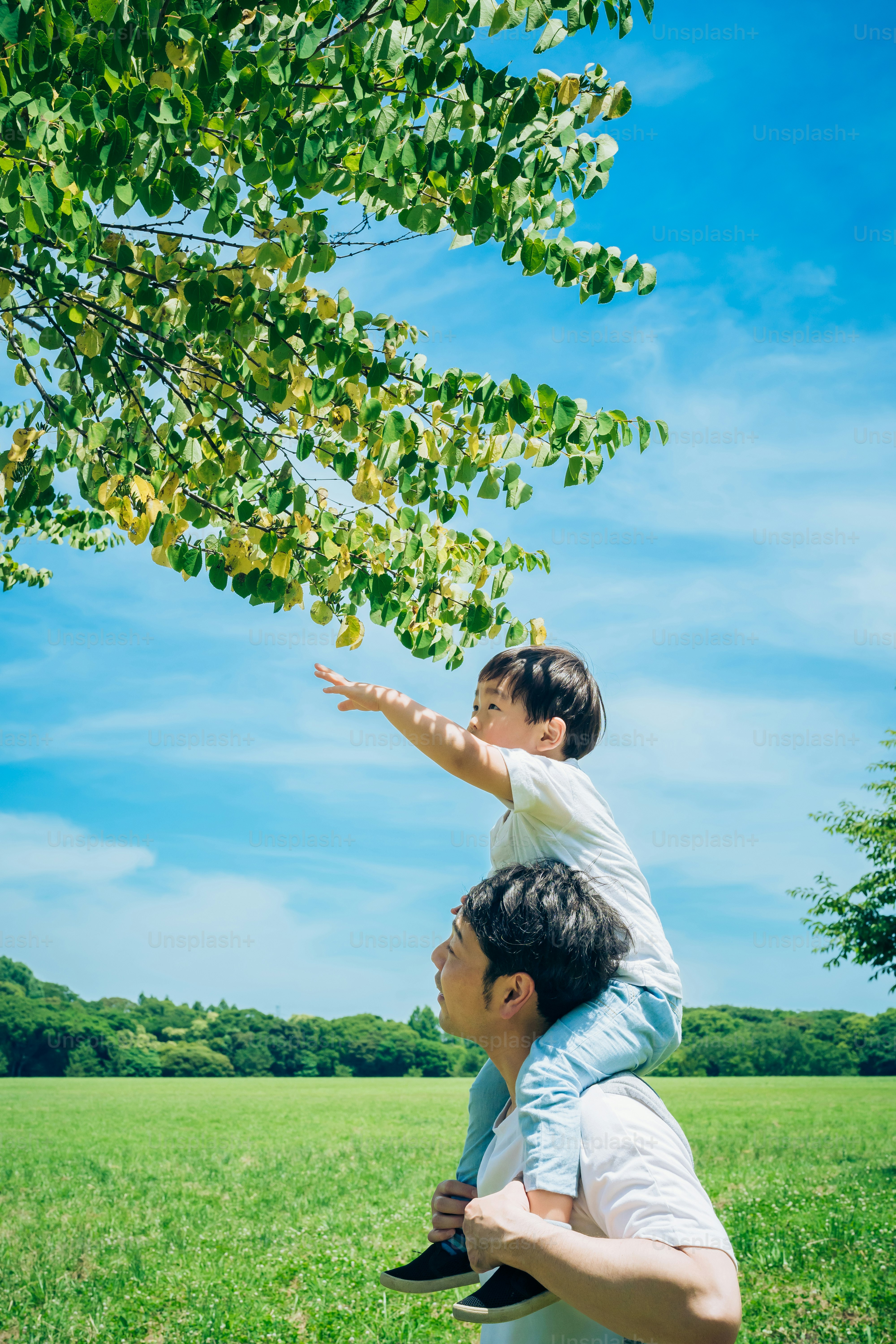 a father and a little boy walking on the green space with piggybacks on fine day