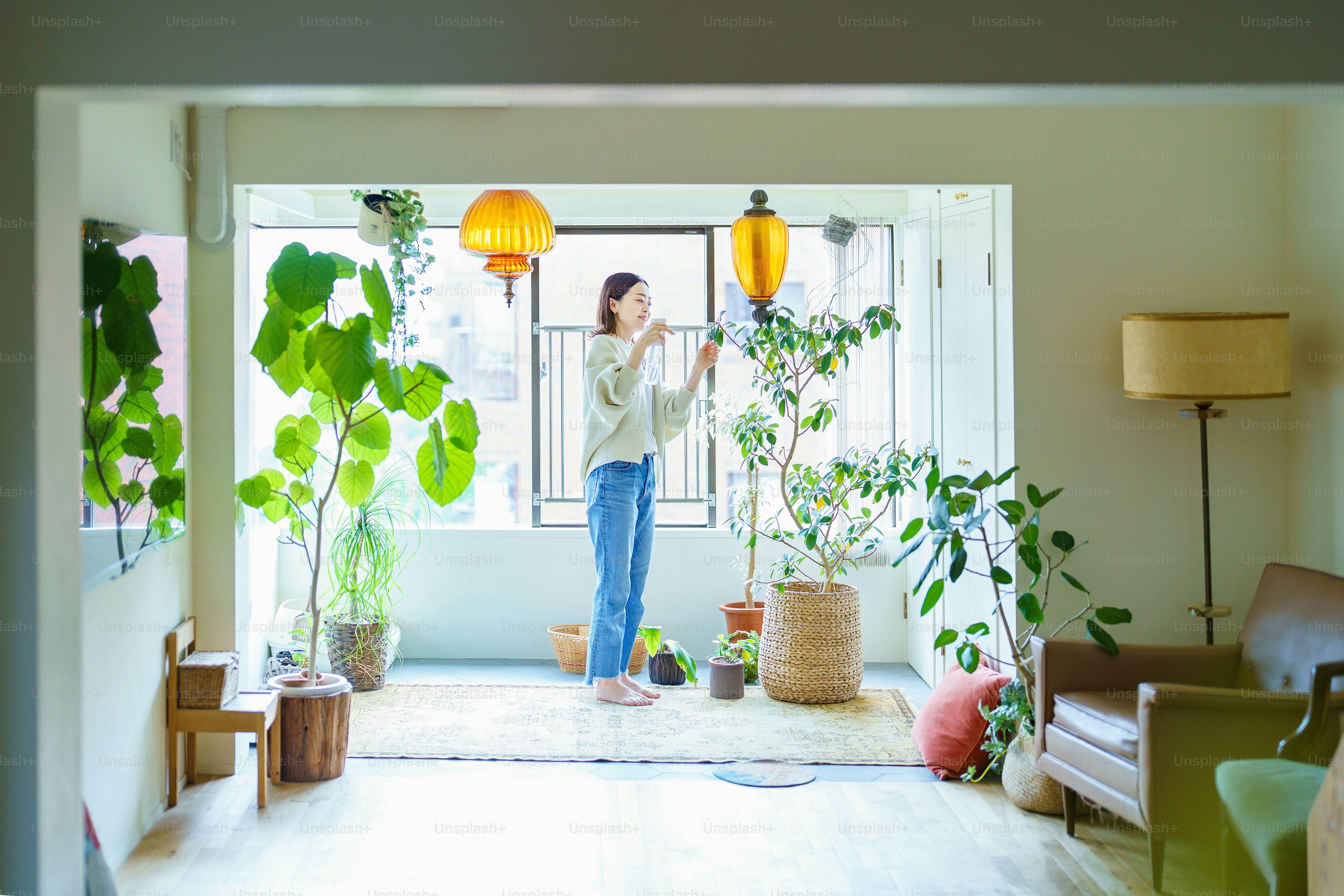 A woman watering a houseplant in a room