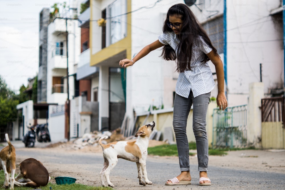 Junges Teenager-Mädchen, das mit indischen Straßenwelpen spielt