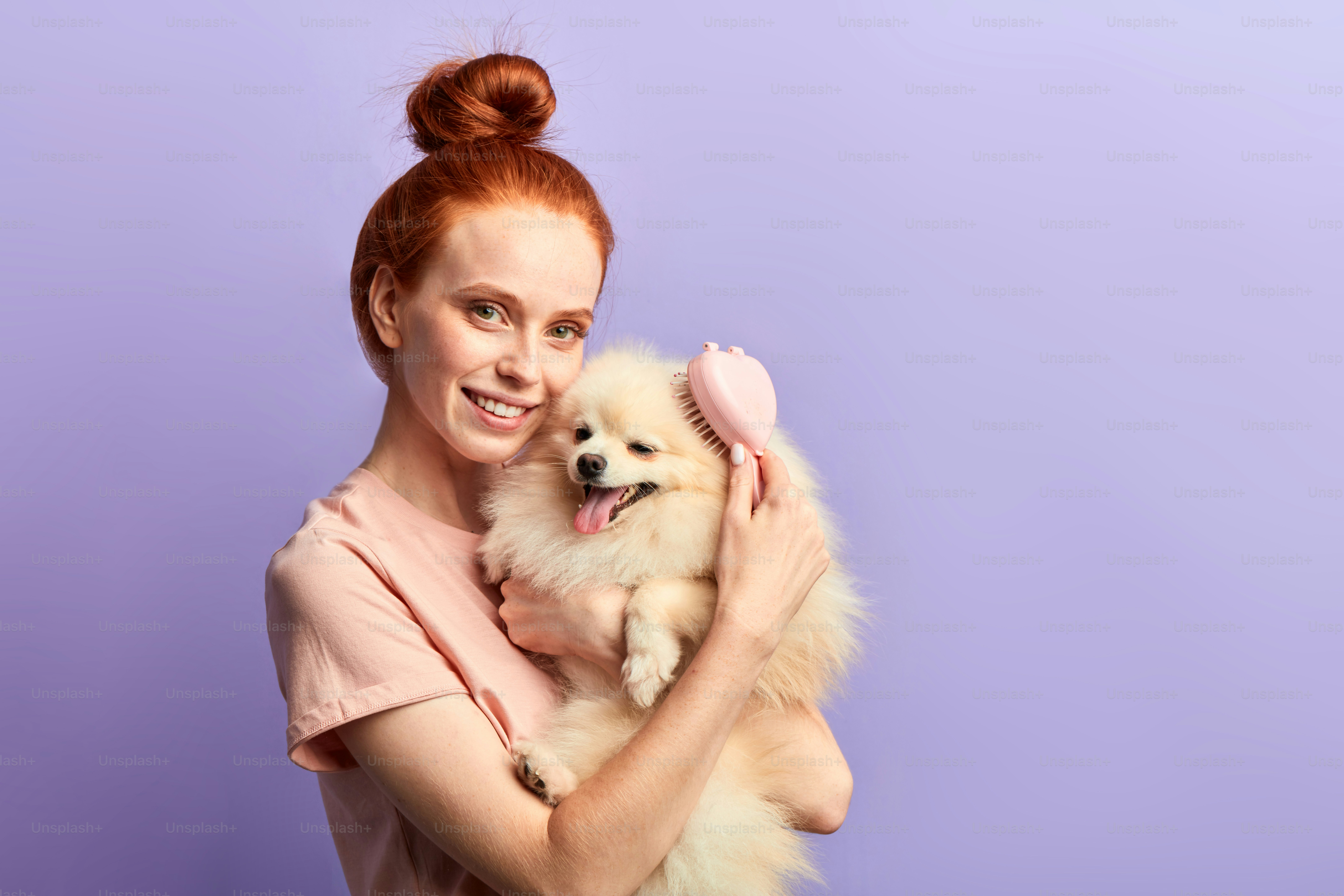 charming ginger girl with toothy smile using brush to take care of her adorable pet. close up portrait, girl groomer preparing a dog for a party