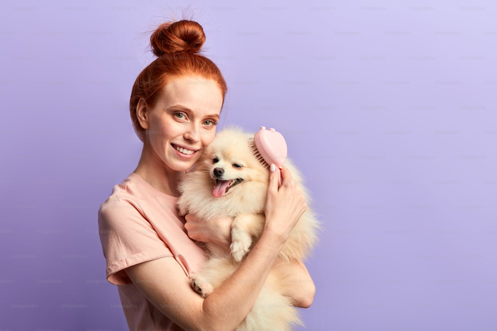그녀의 사랑스러운 애완 동물을 돌보기 위해 브러시를 사용하여 이빨 미소를 가진 매력적인 생강 소녀. 클로즈업 초상화, 파티를 위해 개를 준비하는 소녀 미용사