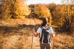 Back view of woman with backpack and trekking sticks. Nordic walking. and hiking. Autumn nature around and path forward. Travel concept.