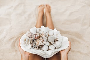 Woman hands holding huge tridacna with many different ocean seashells and coral. Beach vacation and tropical travel background.