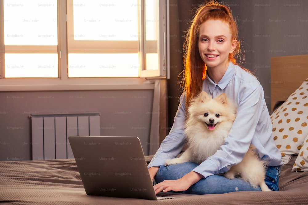 redhaired ginger woman useing laptop , fluffy spitz sitting on her knees sunset light from window background.