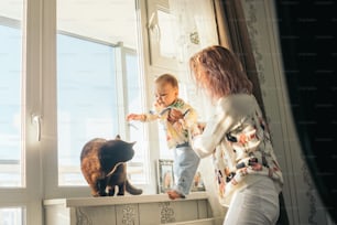 Happy young mother with cute baby boy and british cat on windowsill. At home near window. Sun light on the baby.