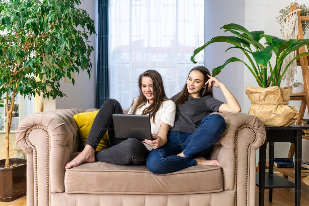 Two young women watch TV series on laptop. Green plants, sustainable design in interior.