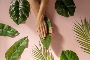 Belas mãos femininas com manicure natural. Fundo cor-de-rosa com folhas de palmeira verdes.
