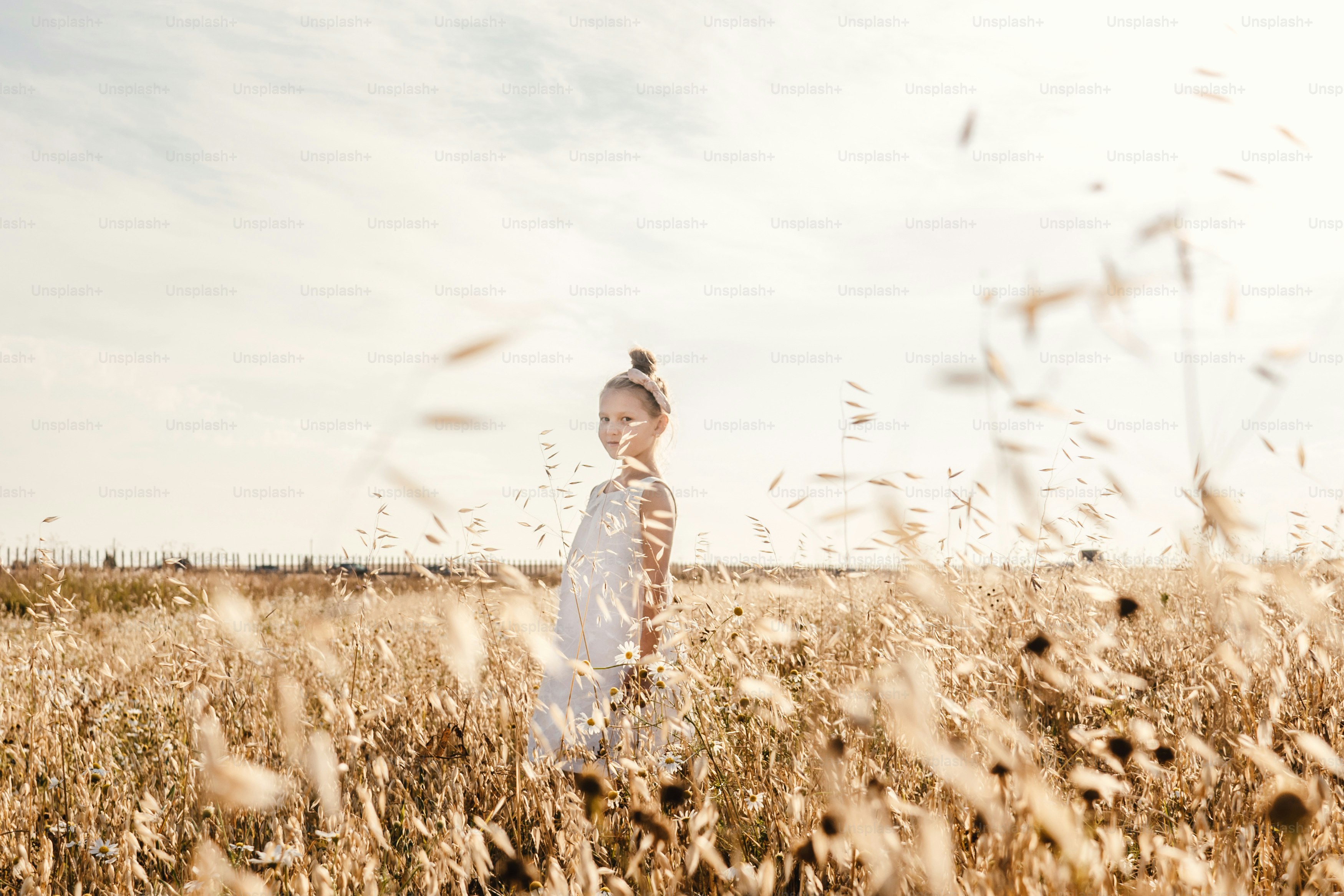 Bambina in campo dorato, sfondo del cielo. Luce del tramonto, spazio di copia.