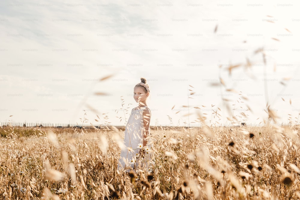 Little girl in golden field, sky background. Sunset light, copy space.