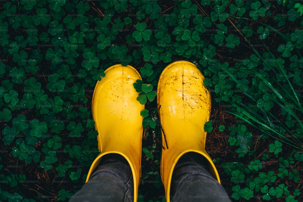 Yellow rubber boots on green grass in forest. Top view.