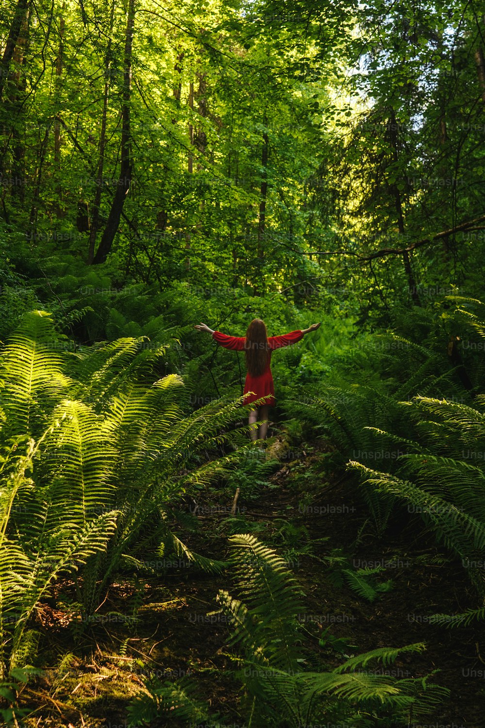 The young woman in red dress back view in forest with fern. Concept of nature and happy life, adventure. Beautiful light.
